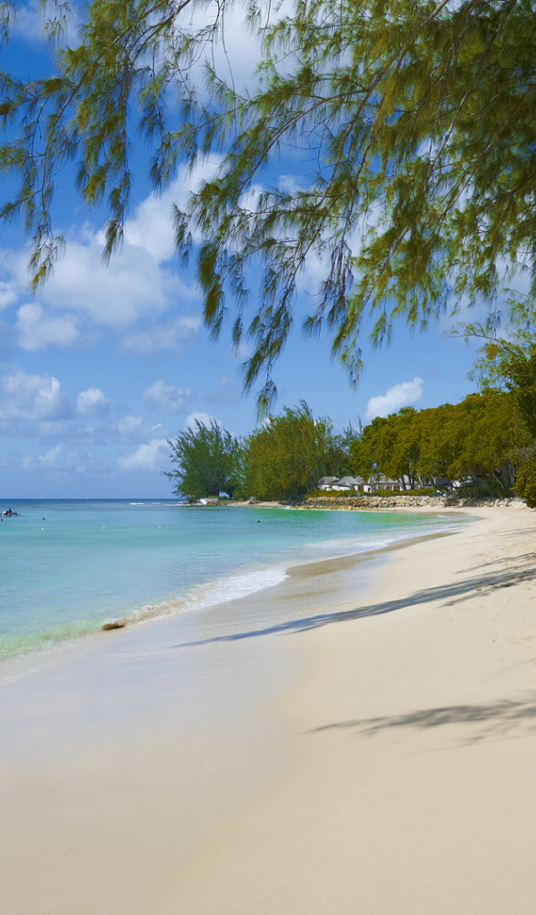 Привлекательное место в Барбадос