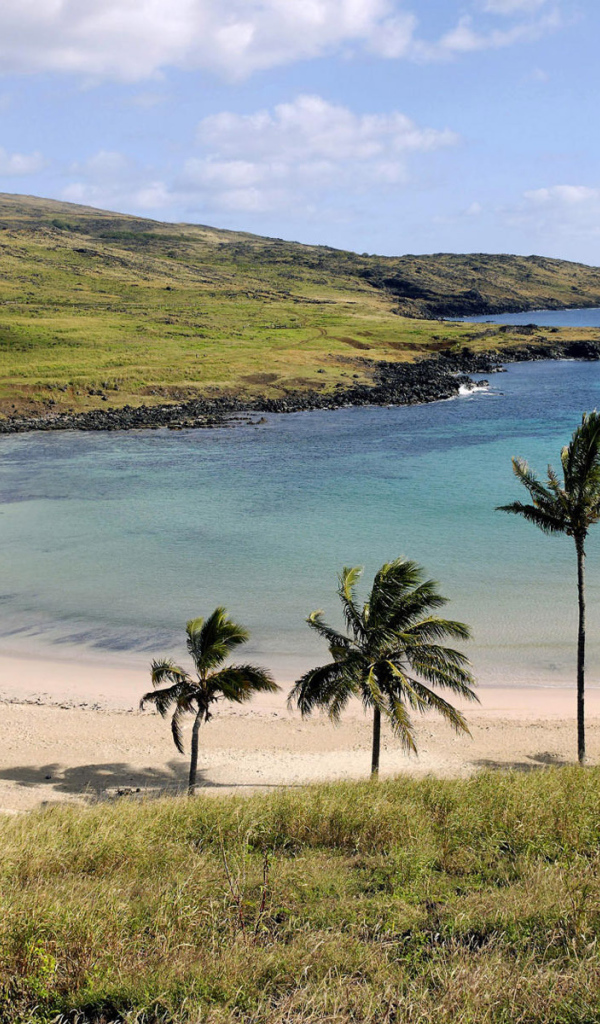 Гран-Плас в Барбадос