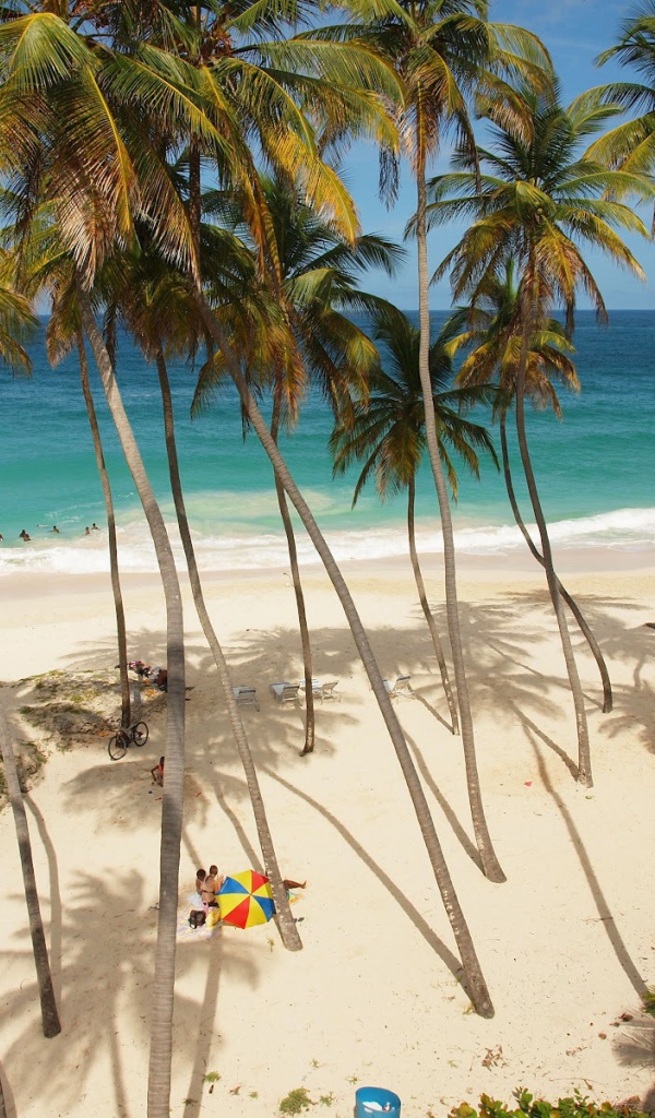 Захватывающие дух место в Барбадосe