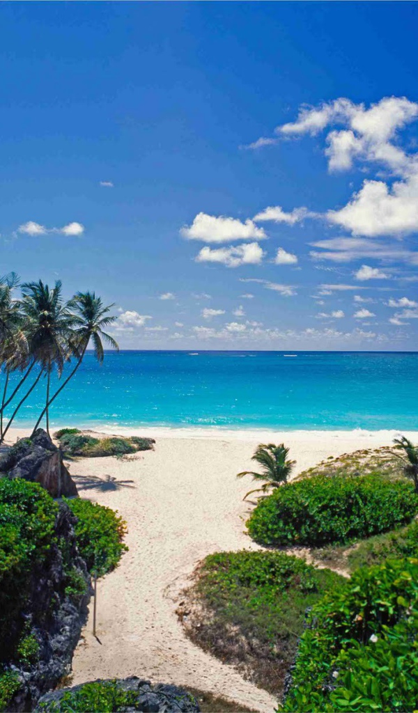 Замечательное место в Барбадос