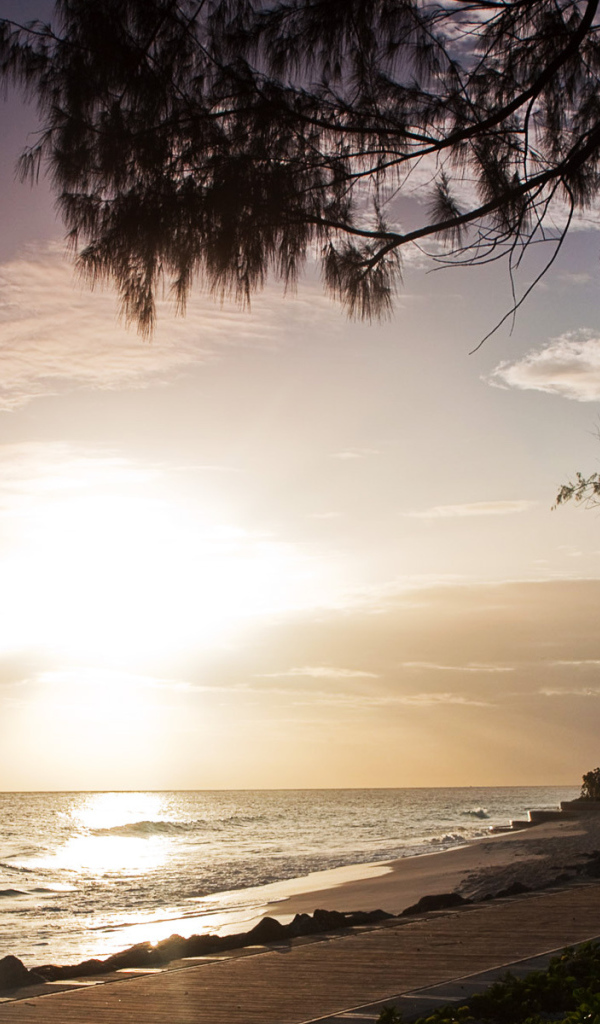 Завораживающий место в Барбадос