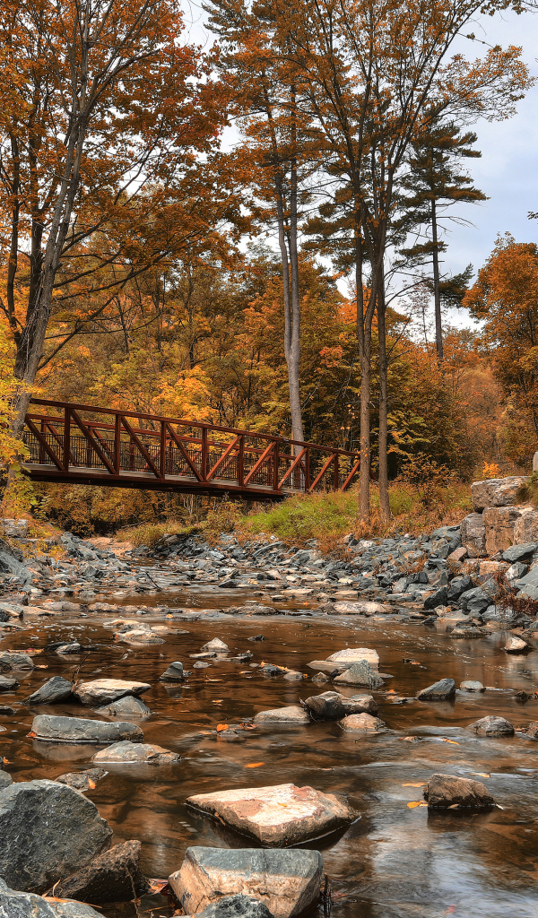 Красивый парк в Торонто, Канада