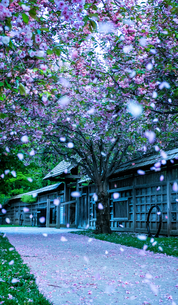 Кария парк в городе Миссисауга, Канада