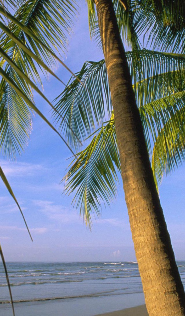 Потрясающая Погода Коста-Рика