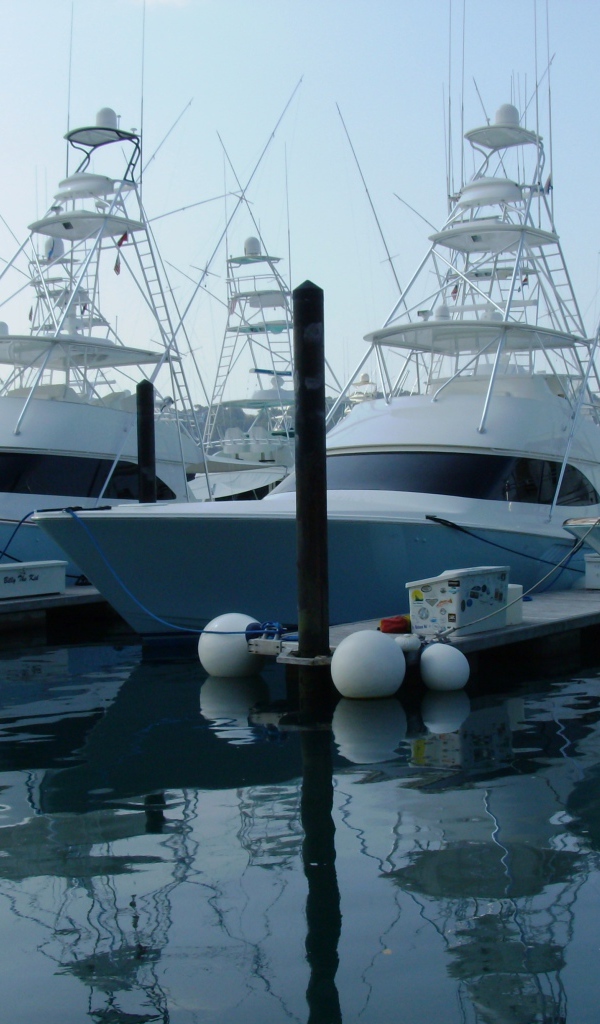 Порт Коста-Рика