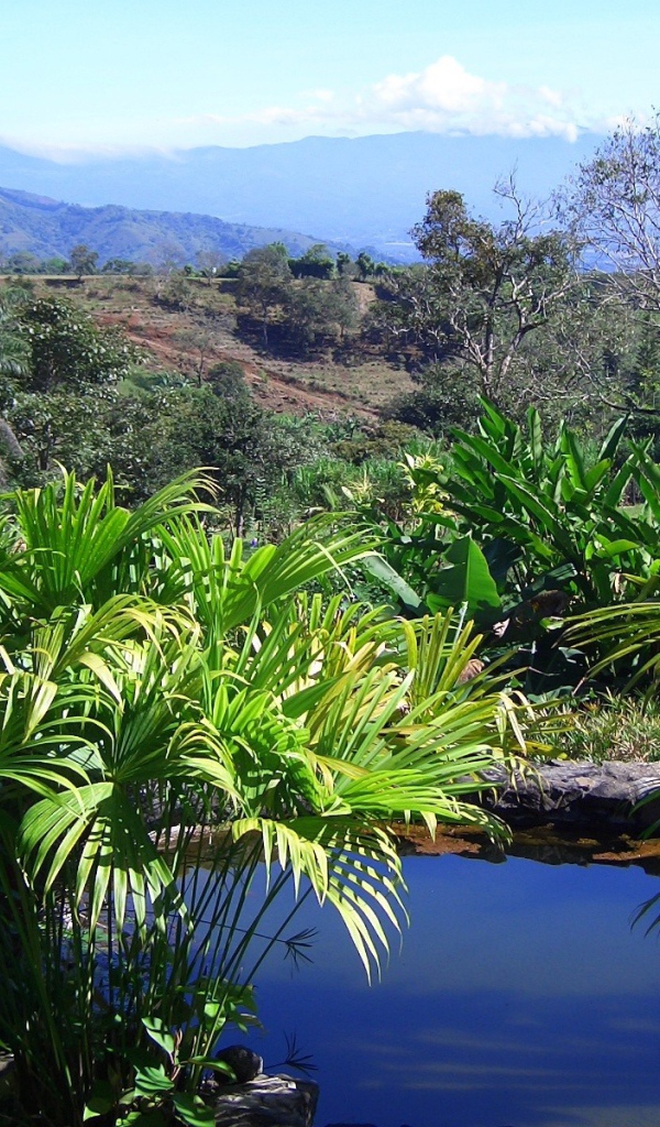 Привлекательное Коста-Рика