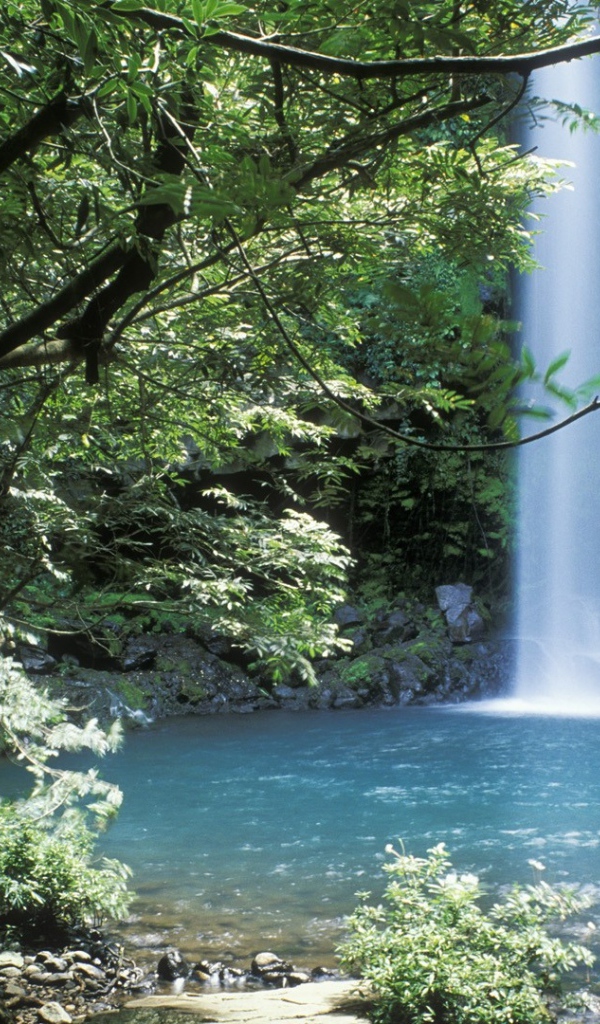 Невероятное место в Коста-Рика 