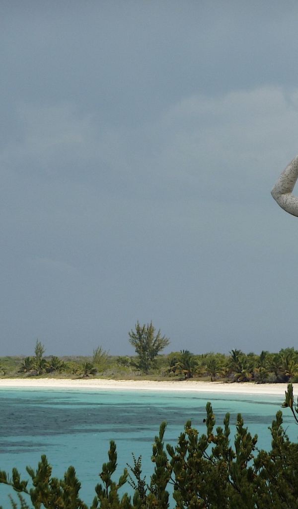 Статуя на побережье на курорте Кайо Энсеначос, Куба