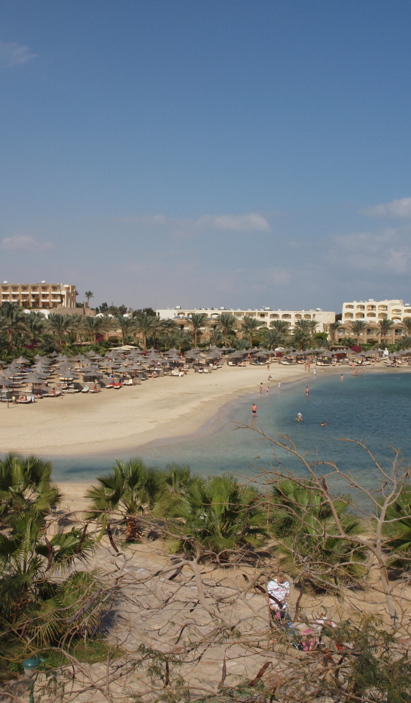 Осенний отдых на курорте Эль Кусейр, Египет