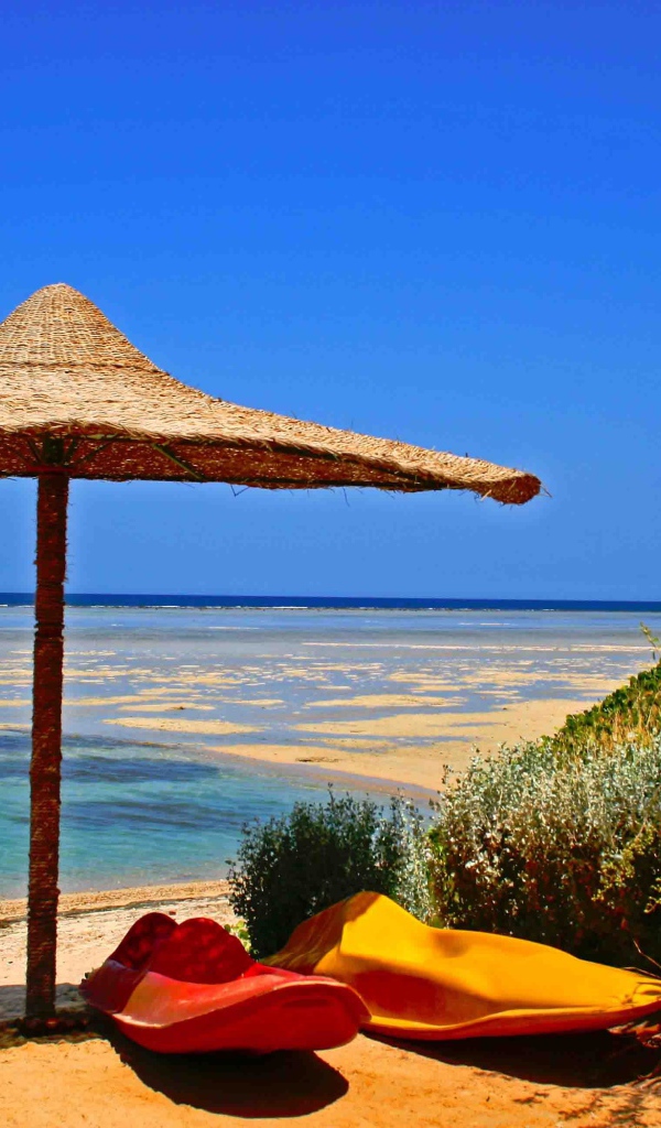 Осенний отдых на пляже на курорте Марса Алам, Египет