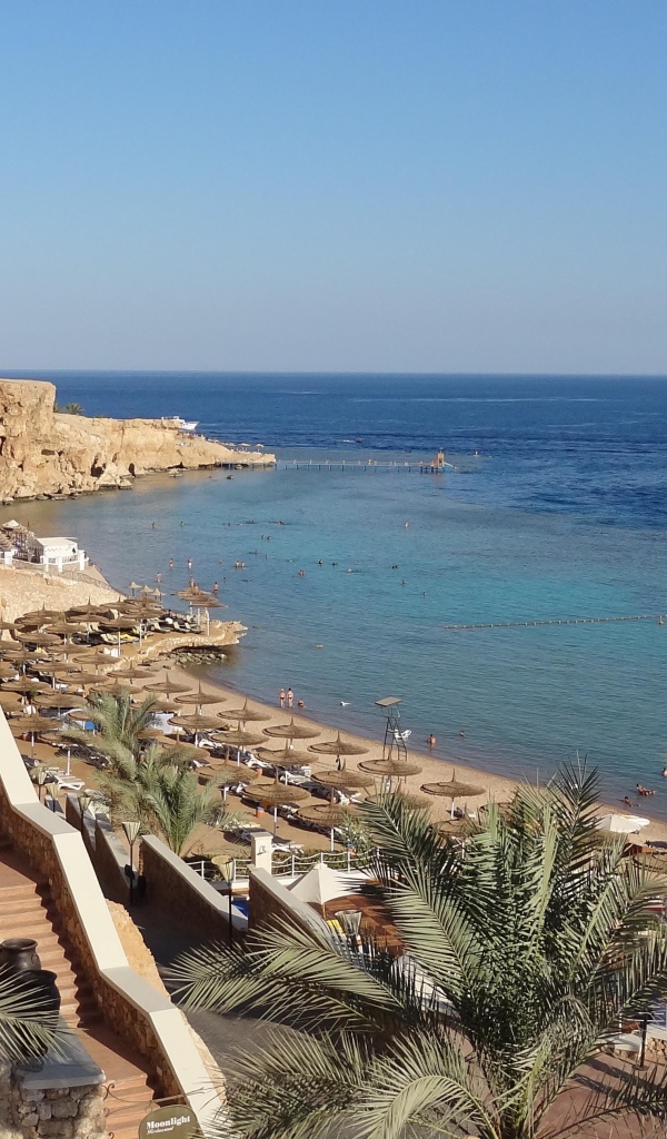 Осенний отдых на пляже на курорте Шарм эль Шейх, Египет