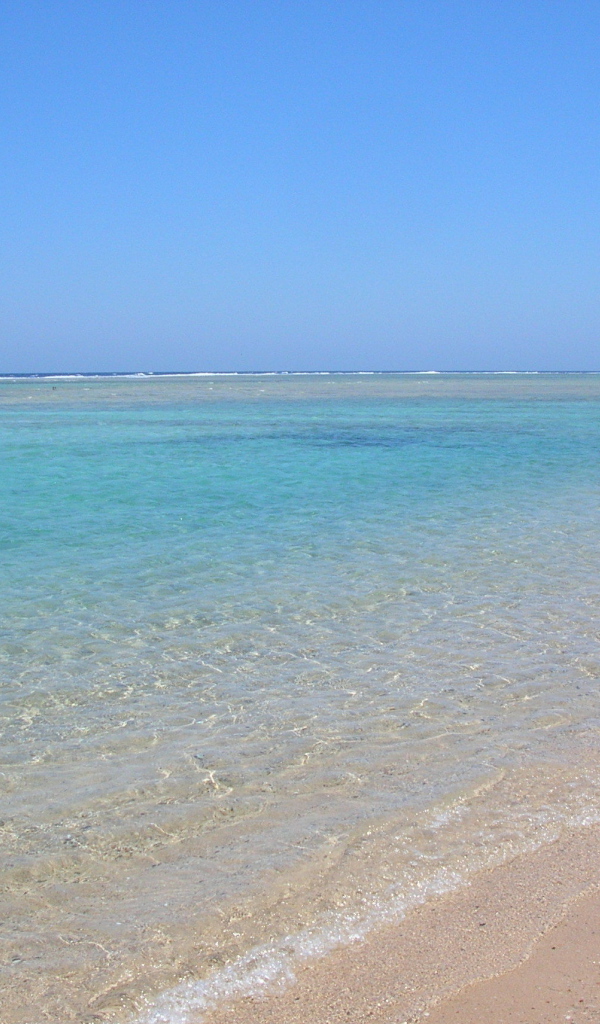 Весенний отдых на курорте Марса Алам, Египет