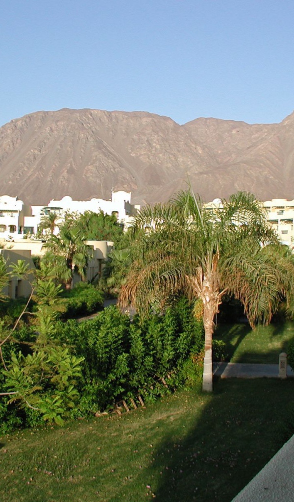 Вид из окна отеля на курорте Таба, Египет