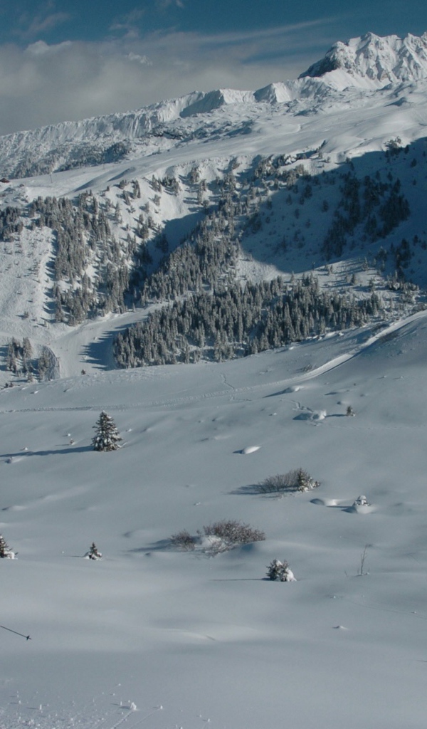 Активный отдых на горнолыжном курорте Куршевель, Франция