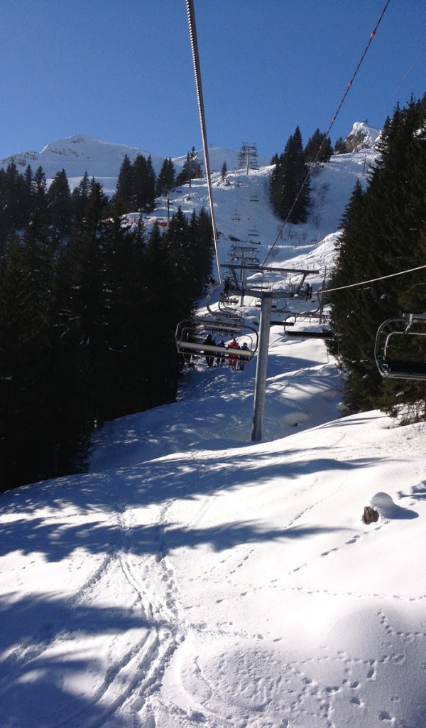 Подъемник среди сосен на горнолыжном курорте Самоен, Франция