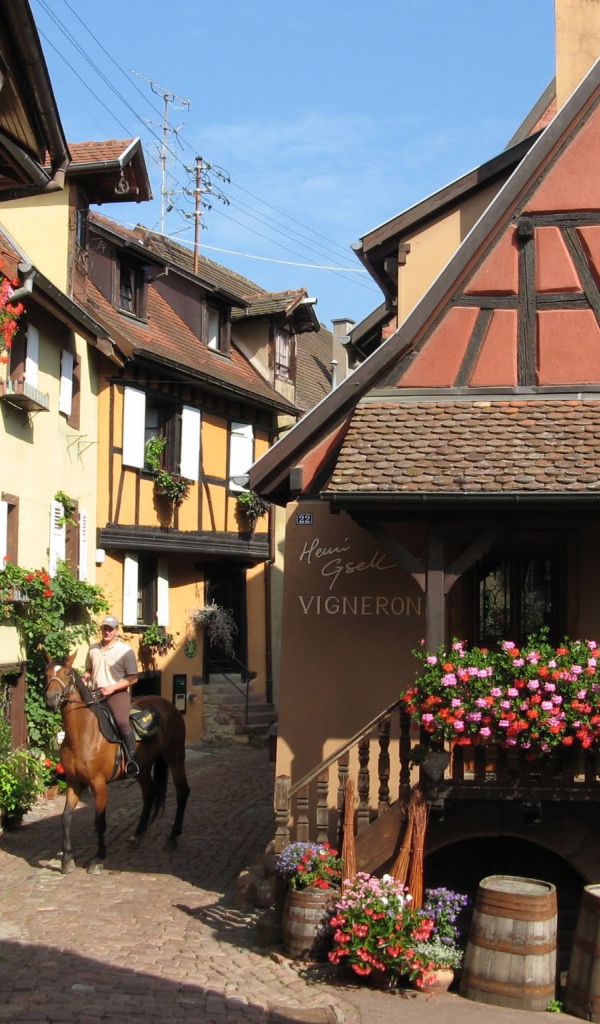 Цветущая улица в Эльзасе, Франция