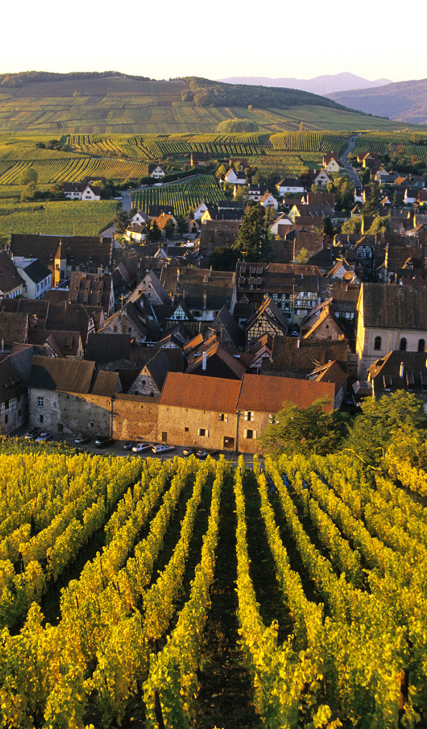Город среди виноградников в Эльзасе, Франция