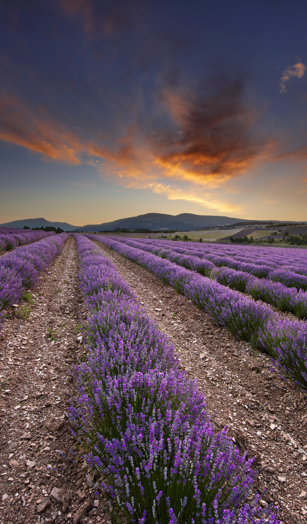 Огненный закат в Провансе, Франция 