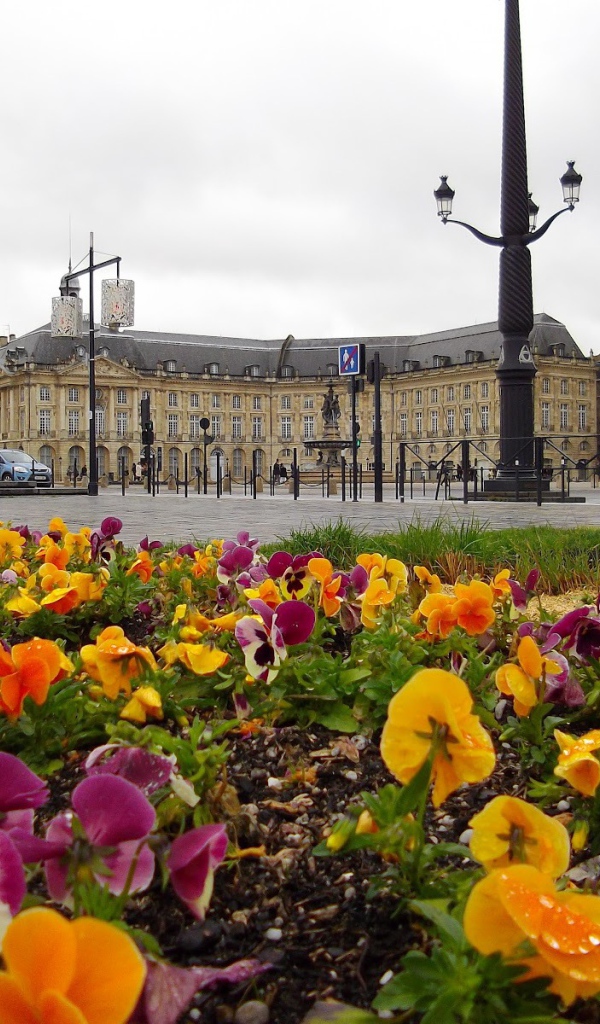 Цветочная клумба в Бордо, Франция