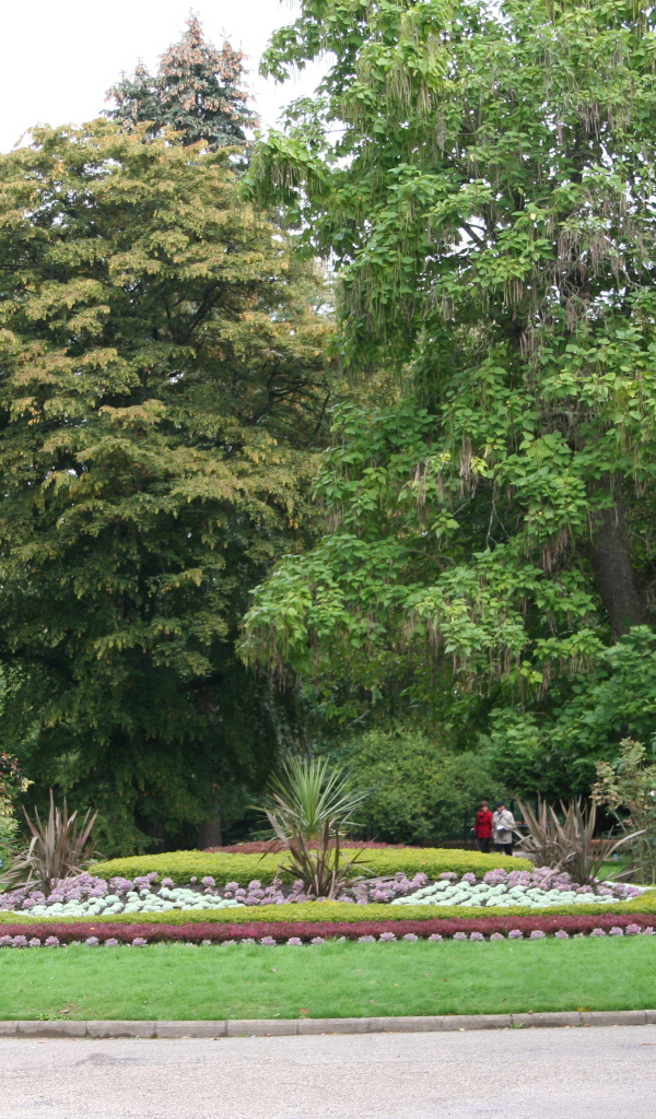 Клумба в городе Виши, Франция