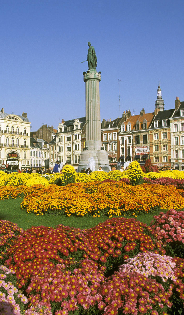 Клумбы в городе Лилль, Франция