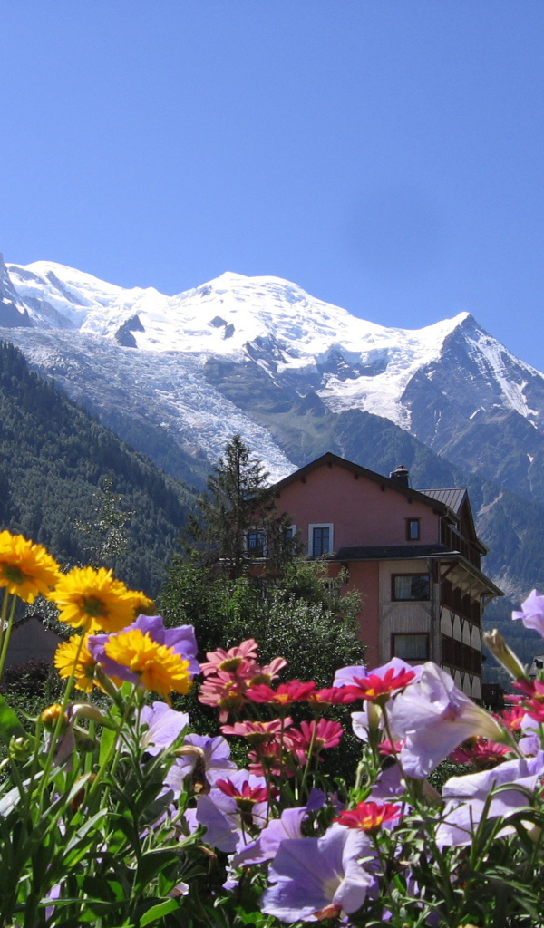 Цветы на курорте Шамони, Франция