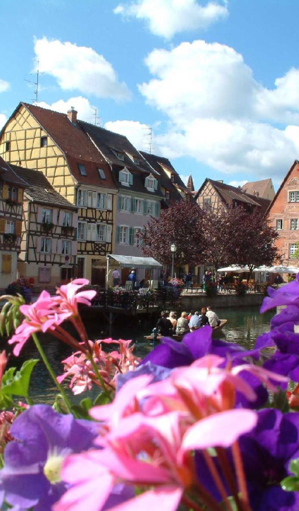 Цветы в Эльзасе, Франция