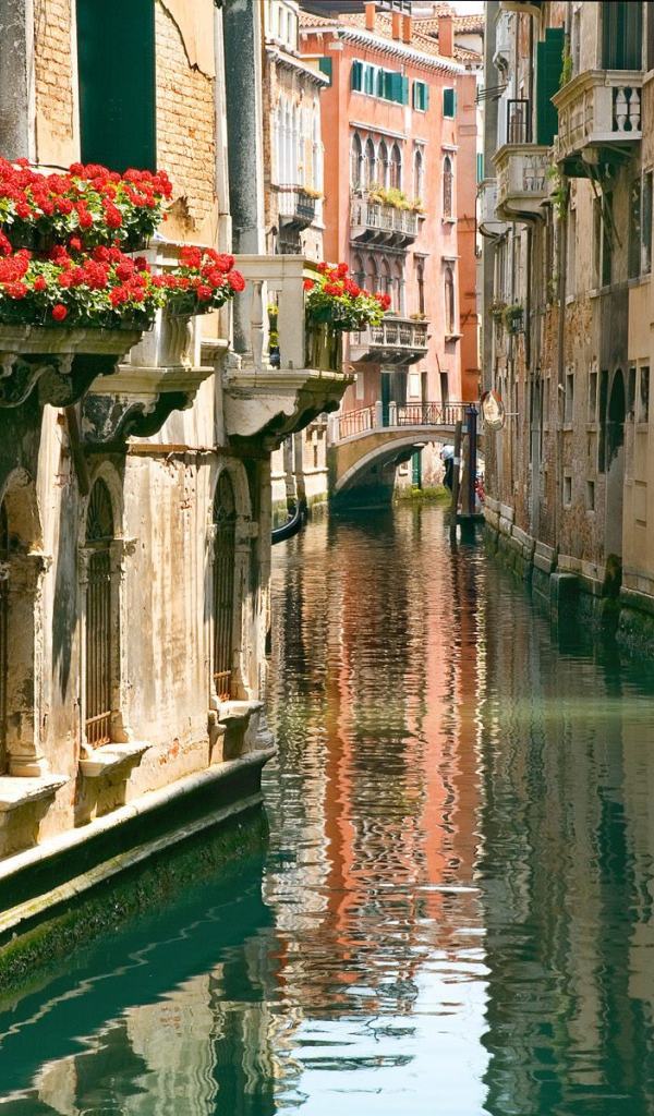 Цветы на балконе в городе Аннеси, Франция