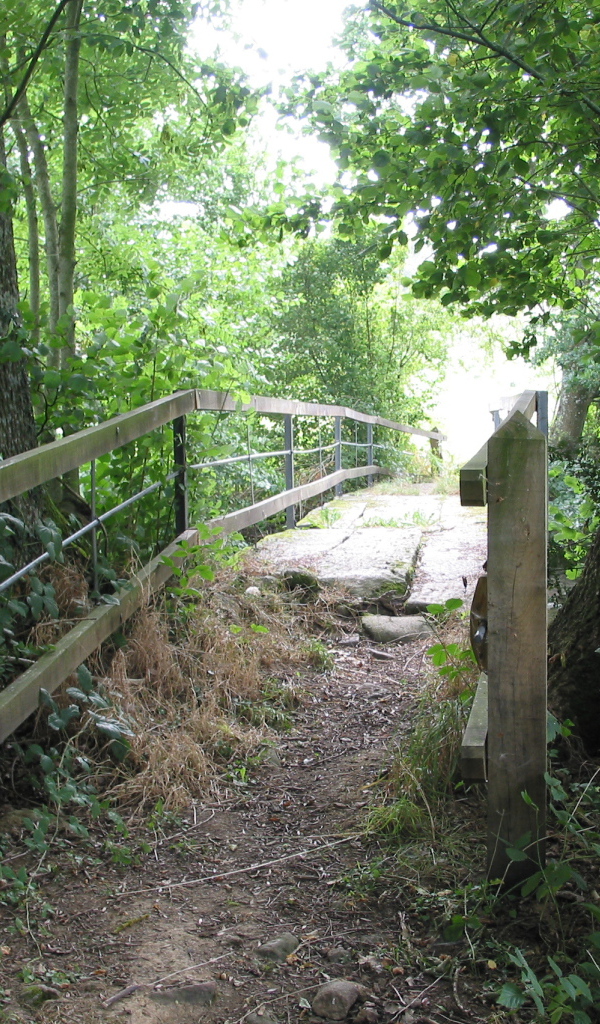 Лесная тропа в Нормандии, Франция