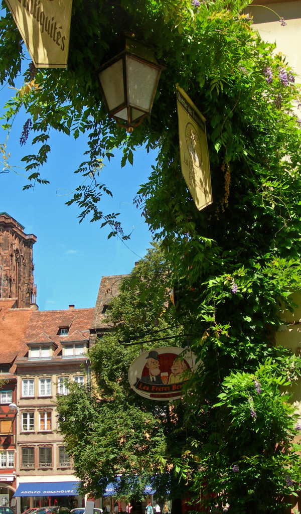 Зелень в городе Страсбург, Франция