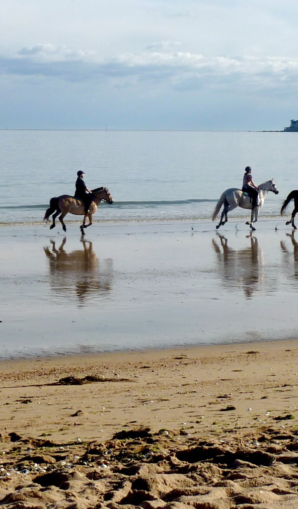 Конная прогулка на курорте Ла Боль, Франция