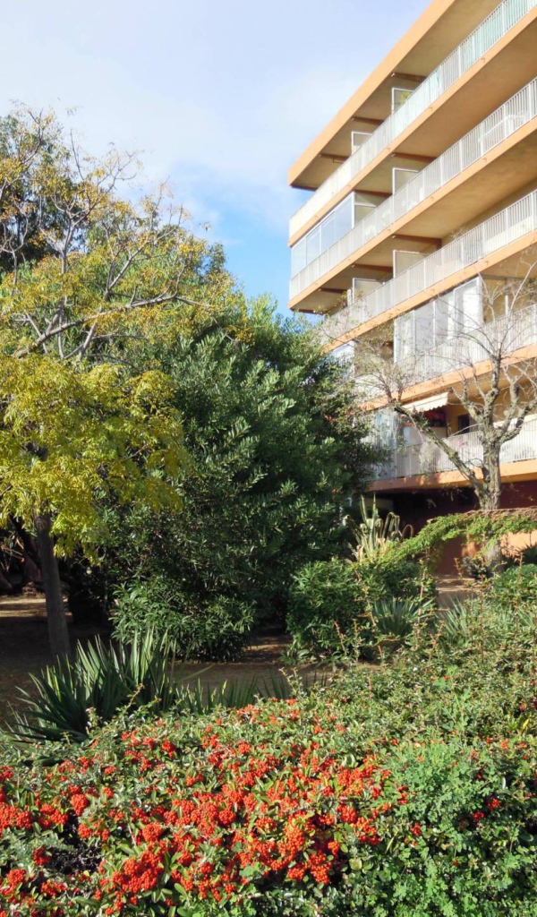 Отель на курорте Порт Де Фрежюс, Франция