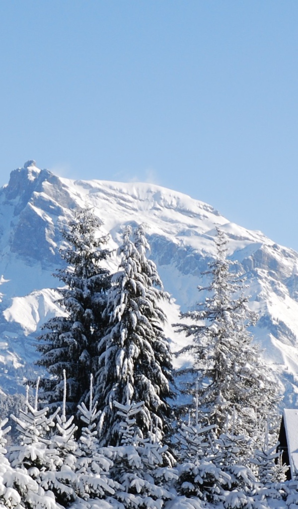 Горы на горнолыжном курорте Межев, Франция