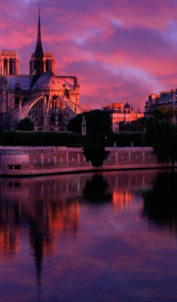 Нотр Дам Париж