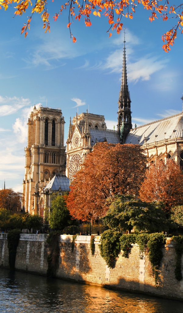 Нотр Дам в Париже, Франция