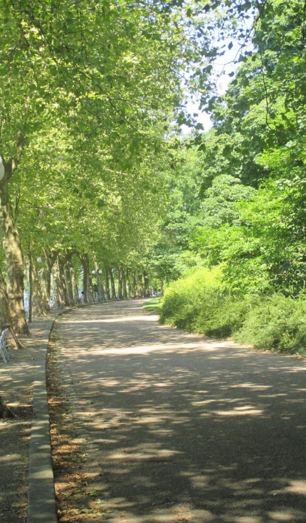 Парковая аллея в городе Виши, Франция