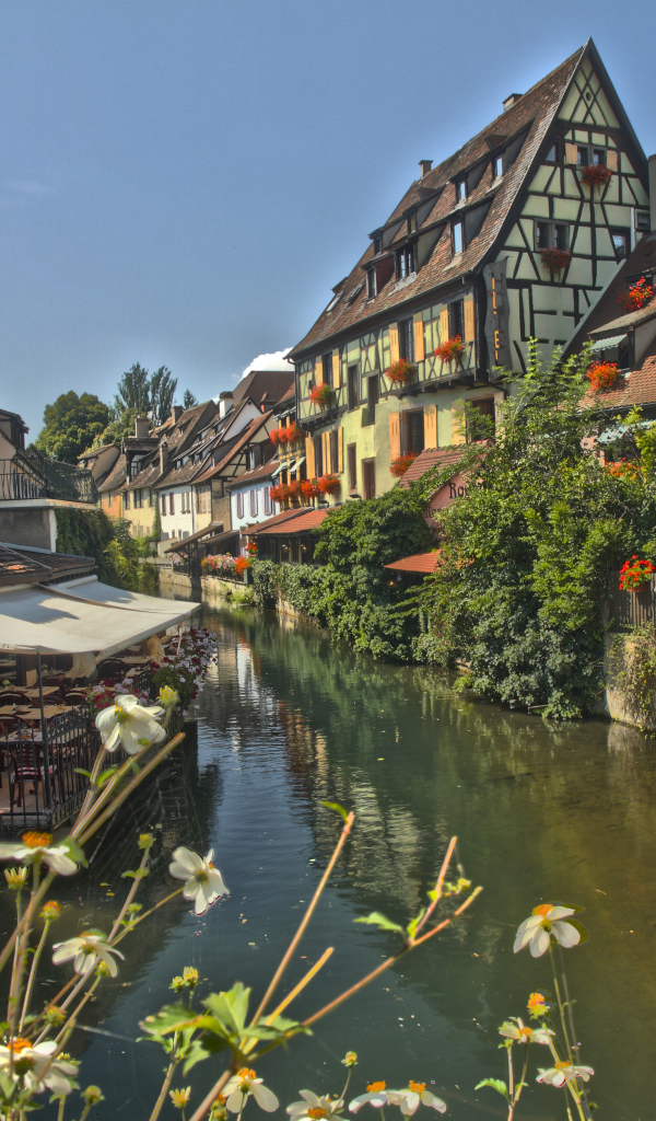 Река в Эльзасе, Франция