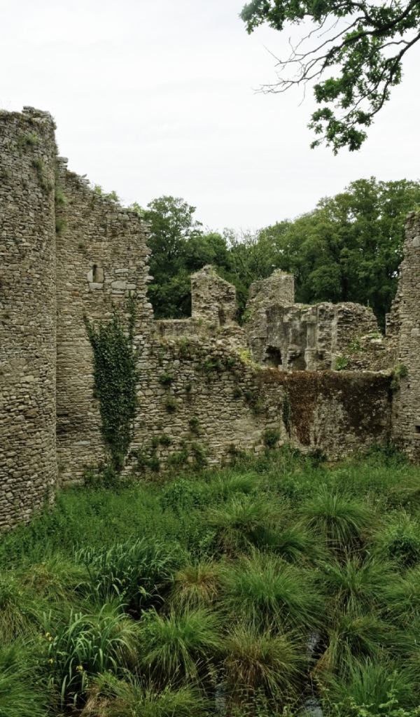 Руины замка в Бретань, Франция