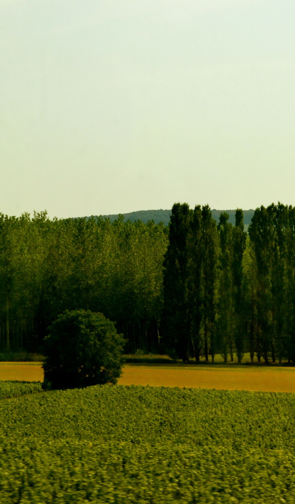 Сельский пейзаж в провинции Шампань, Франция
