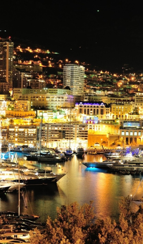 Сияющий порт в Монако