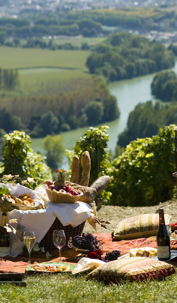 Отдых в провинции Шампань, Франция