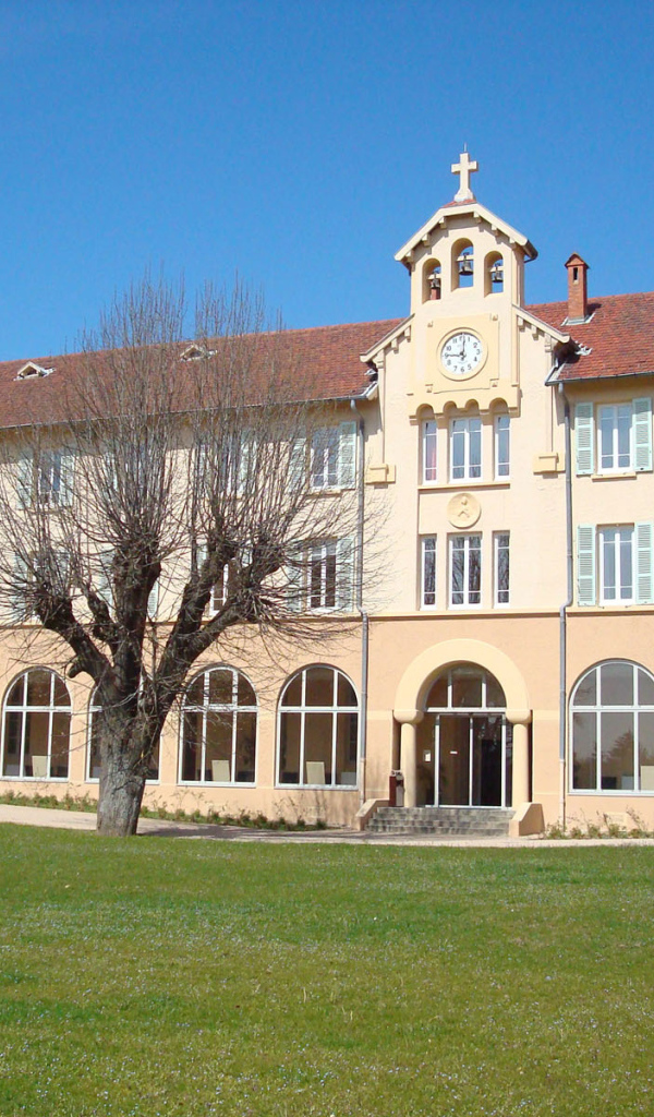 Дерево у здания в городе Лион, Франция