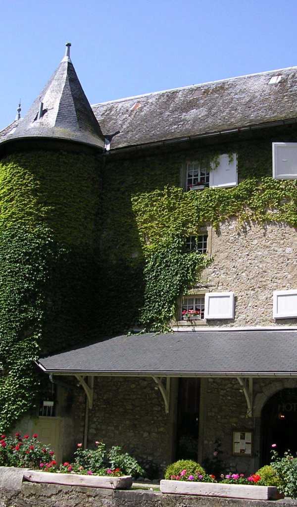 Заросший зеленью замок в городе Виши, Франция