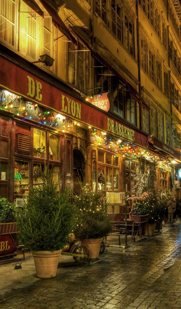 Прогулка по улице в городе Лион, Франция