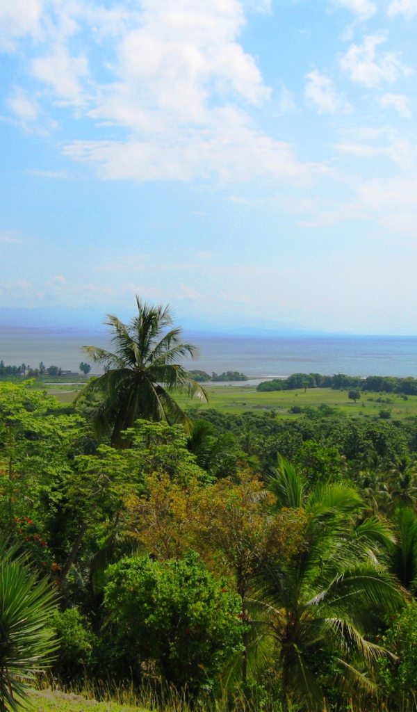 Тропический лес в Гаити