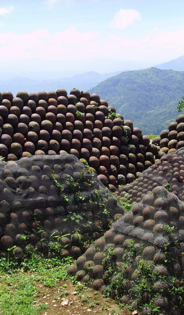 Знаменитая страна Гаити