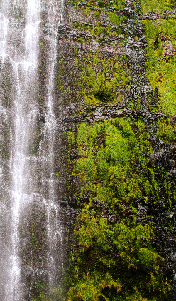 Красивый водопад Ваймоку на острове Мауи, Гавайи