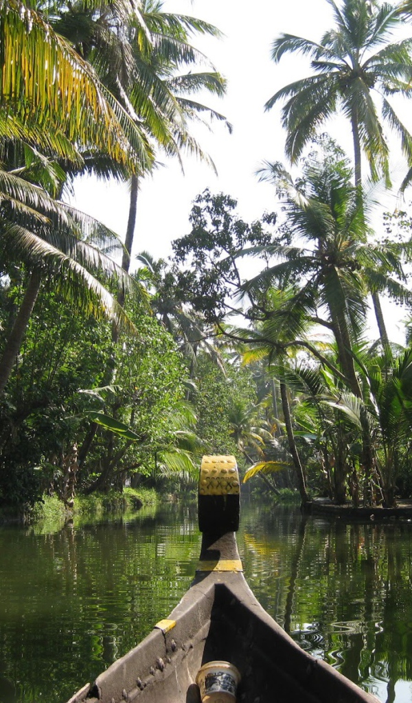 Прогулка на лодке в Алапуже