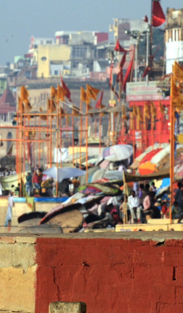 Житель Варанаси с козами