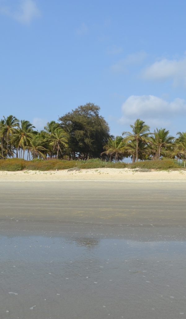 Осенний отпуск в Бенаулиме